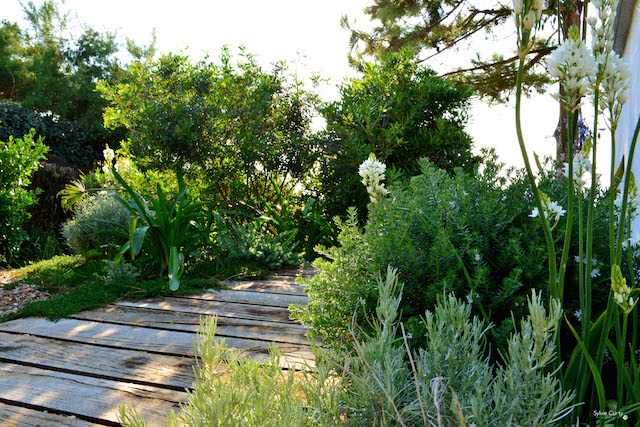 Aménager un jardin de bord de mer sur le Bassin d'Arcachon